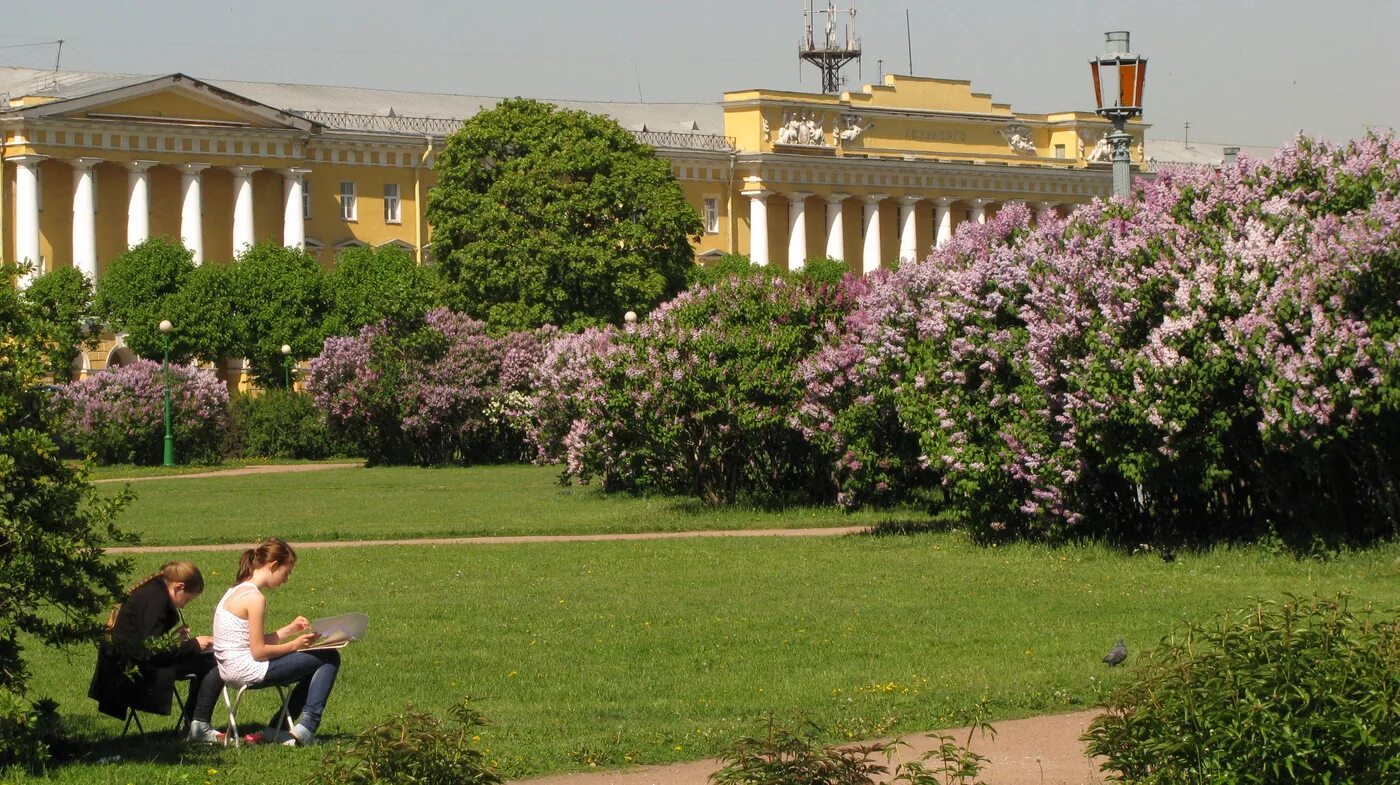 Цветущие сады санкт петербурга. Марсово поле в санкт-петербурге сирень. сирень на марсовом поле в санкт-петербурге. марсово поле петербург сирень. марсово поле санкт-петербург весной.
