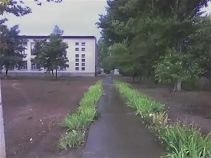 Погода степновский николаевского волгоградской