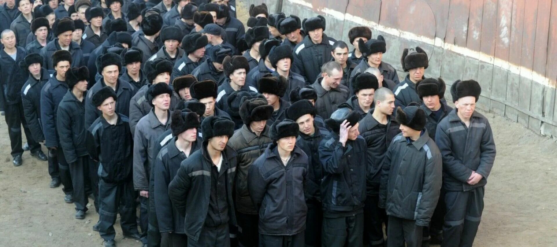 Высшее в колонии