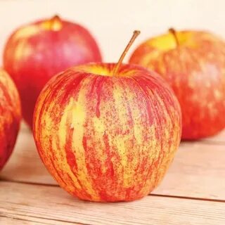 Apples are tasty fruit