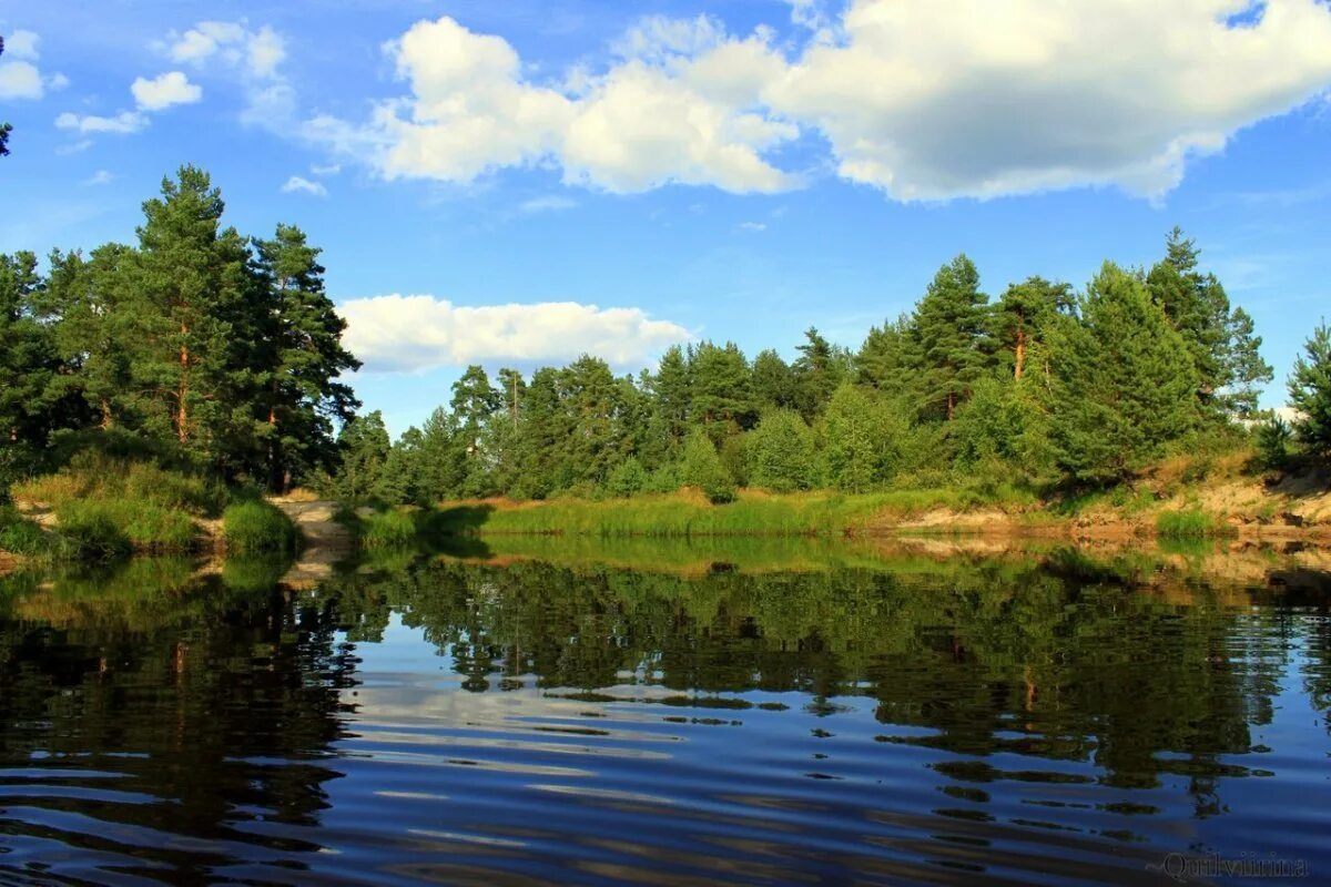 Река пра мещера. Река пра спас клепики. Чёрное озеро (шатура). Река пра окский заповедник. Река унжа.