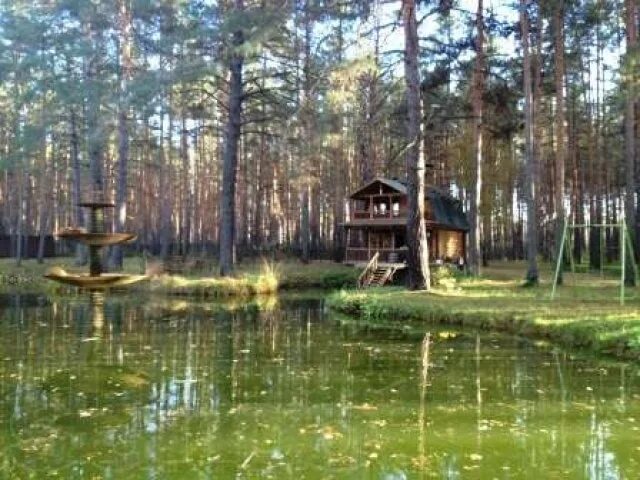 Лукоморье золотаревка пенза. Костер пенза база беседки. Турбаза костер пенза. Светлая поляна пенза база отдыха. Хвоя пенза турбаза.