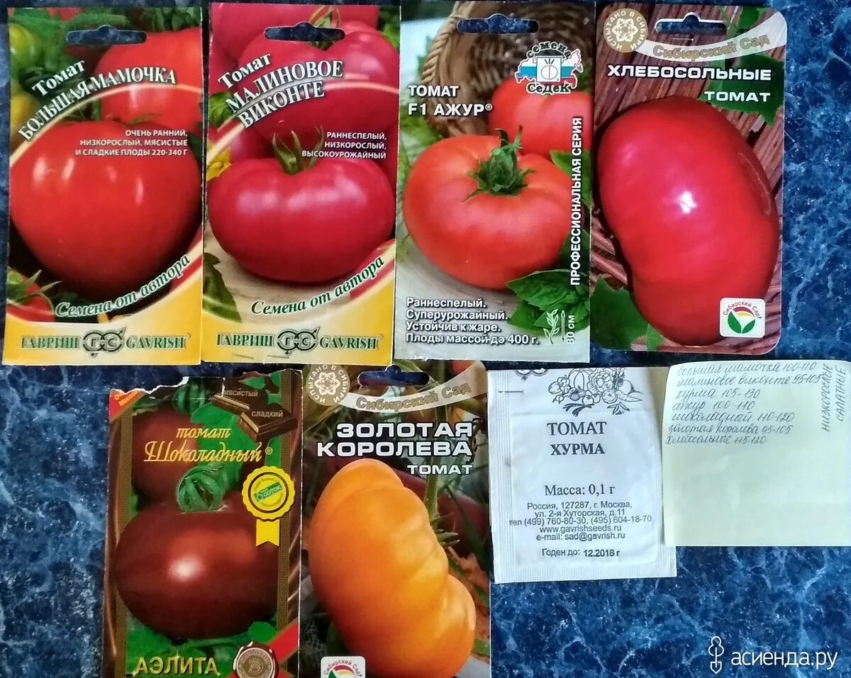 Семена томатов королева. Томат Королева томатной Галактики.