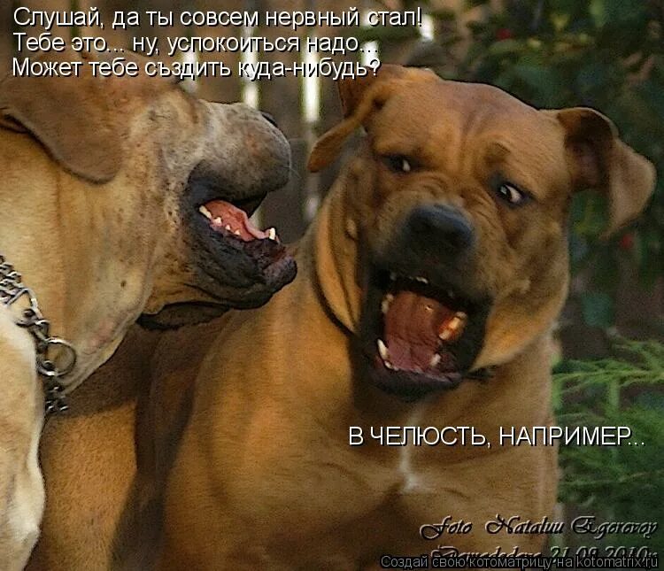 Где нибудь есть вообще. Анекдоты про красоту. Че нибудь на ужин. Тебе надо отдохнуть съездить куда нибудь в челюсть например. Где нибудь есть вообще.