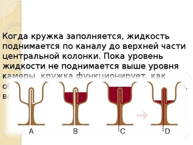 Кружка пифагора как работает. Кружка пифагора. кружка пифагора устройство. кружка жадности пифагора. сосуд пифагора.