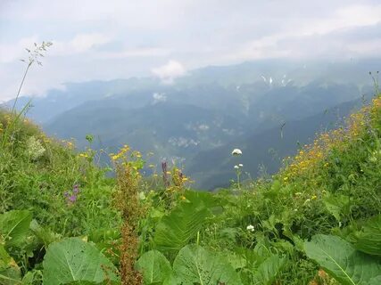 Сайт страна души абхазия