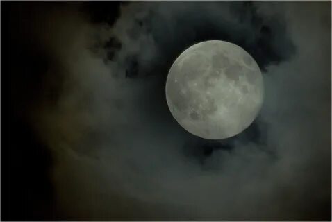 Moon автор
