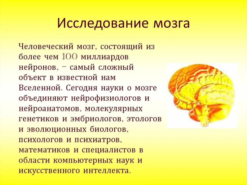 Презентации на тему мозга. Мозг для презентации. Мозг тема для презентации. Доклад про мозг. Человеческий мозг состоит из.