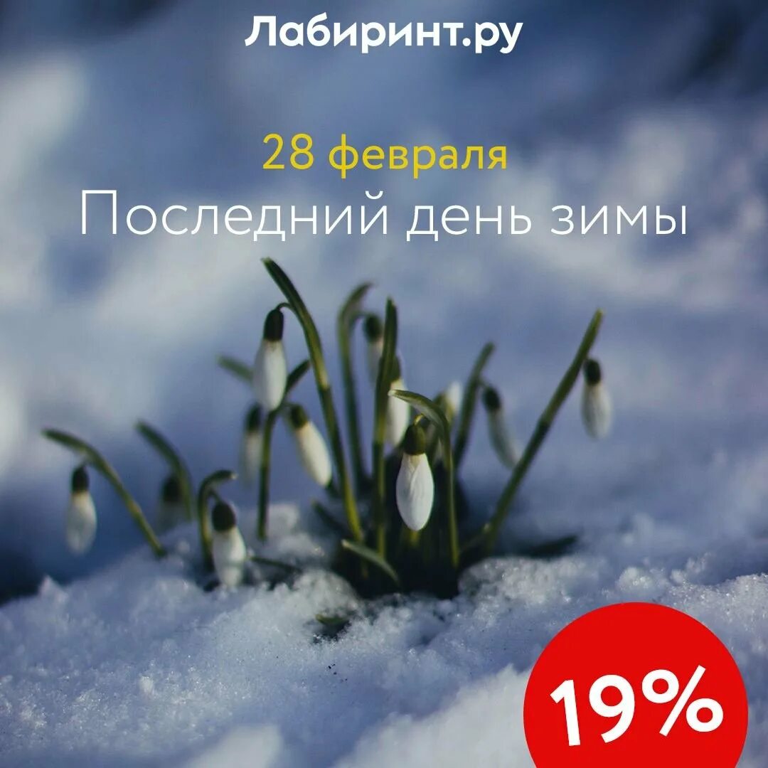 Добрый день последнего февраля. С последним днем зимы. С последним днем февраля. 28 Февраля последний день весны. Сегодня последний день зимы.