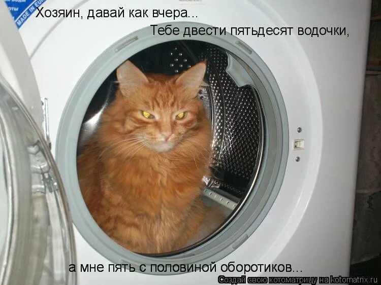 Хозяин давай