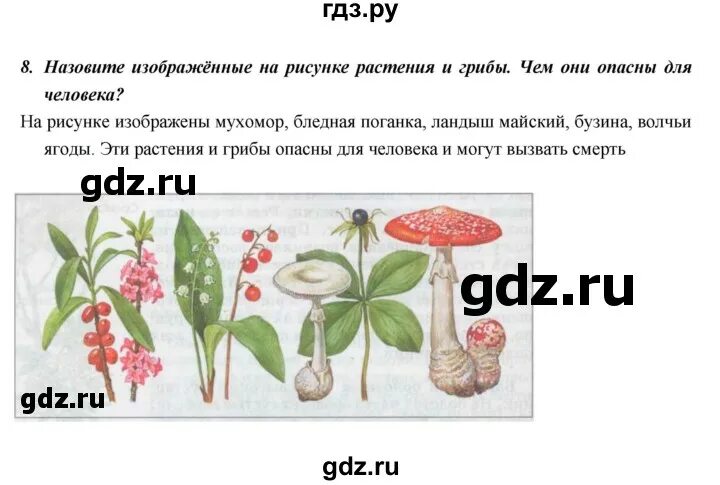 Домашнее задание по биологии с вирусами колонка пятый класс. Биология 5 класс §18 задание. Гдз по биологии 5 класс сообщество леса. Как получить 5 по биологии 6 класс. Биология 5 класс сонин ответы