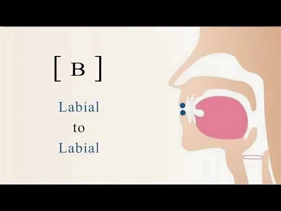 Транскрипция labial. Voiced labial-Dental. Uvular r and alveolar r. Табличка labial bilabial alveolar glottal lingual. Voices back