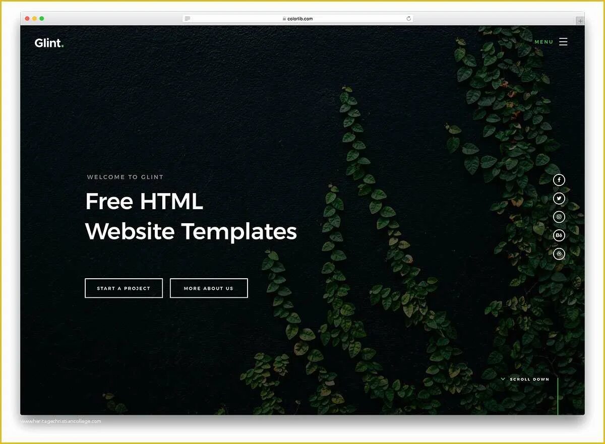 Html site download. Template html 2025. simple html website. дизайн текст html шаблон.
