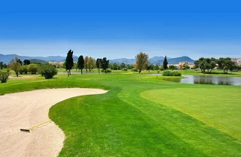 Golf more
