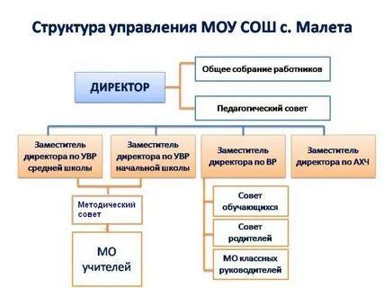 Структура общественного объединения