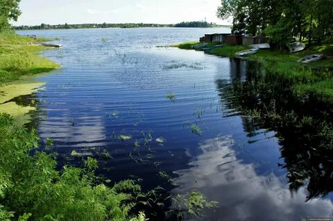 Плыть в устье реки