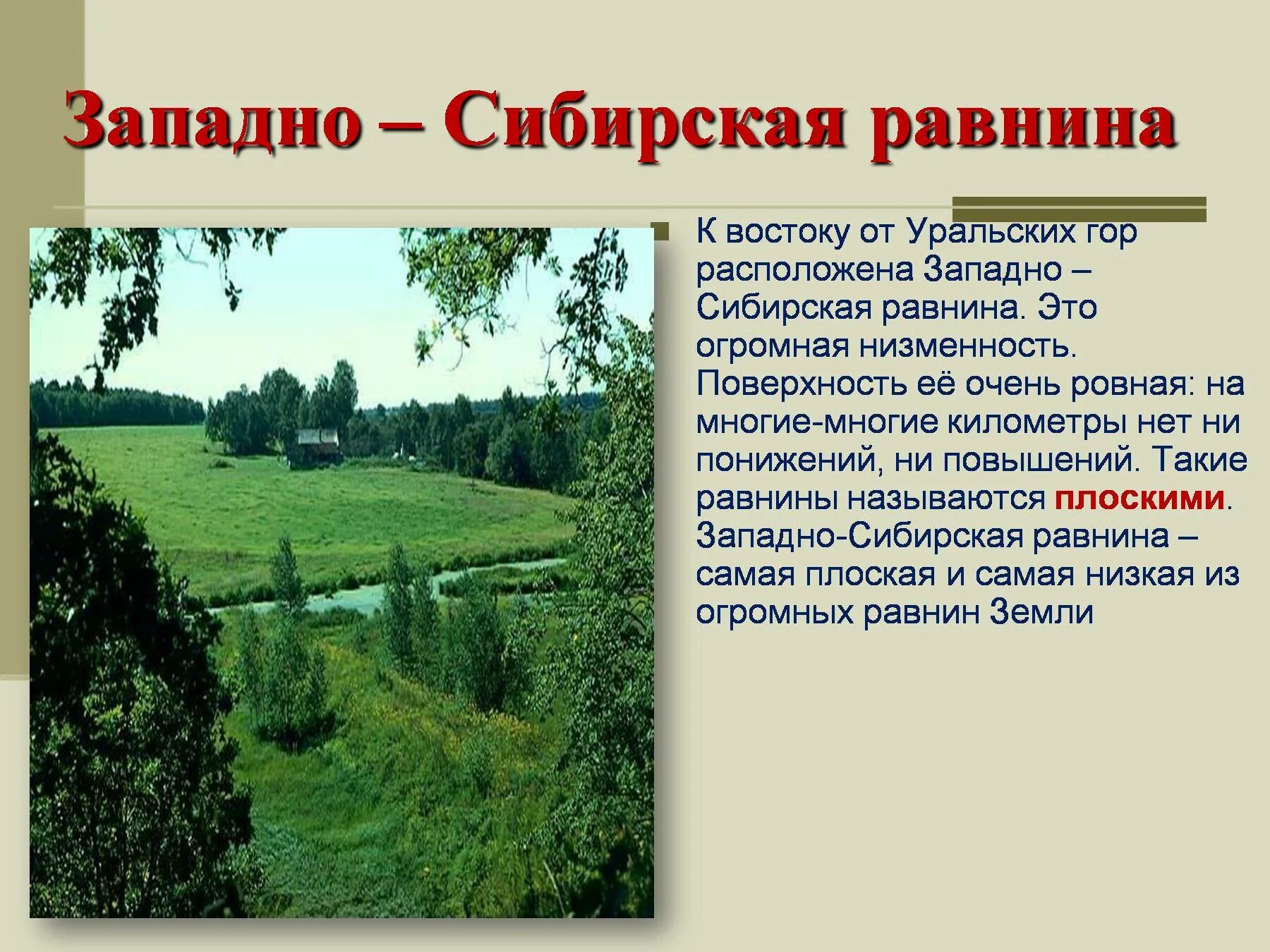 Западно сибирская равнина текст. Западно-сибирская равнина описание 4 класс окружающий мир. западносибирская равнига. западносибипская равнина. запално сибирскаяравнина.