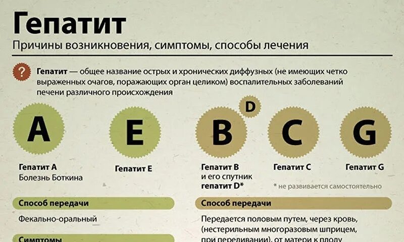 Гепатит передается наследственно. Гепатит передается наследственно