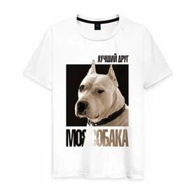 Локи доги доги дог текст