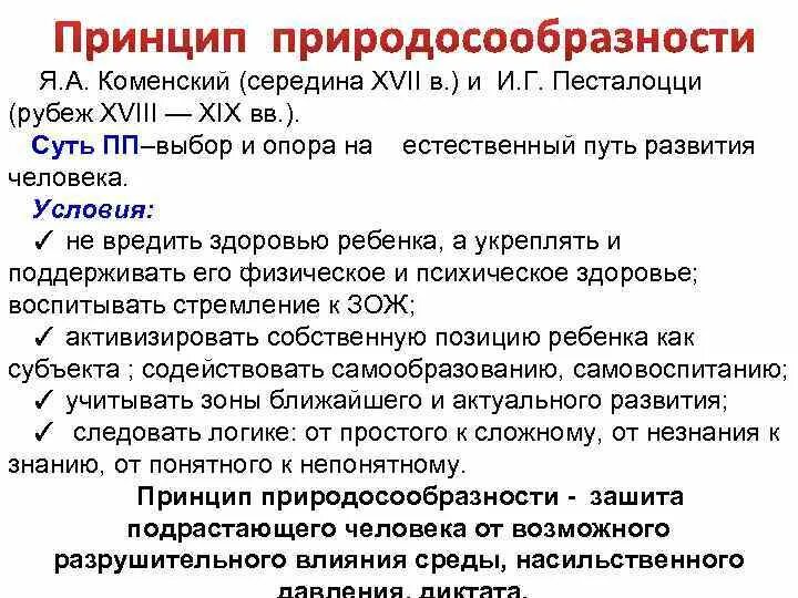 Принцип природосообразности я. Принцип природосообразности воспитания. Я а коменский принцип природосообразности. Коменский принципы обучения. Великая дидактика коменского.
