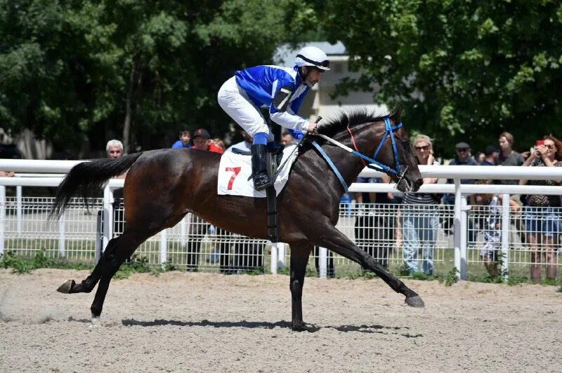 Скачки на пятигорском ипподроме. Скачки на пятигорском ипподроме. Автокросс пятигорск ипподром. Ипподром пятигорск здание. Ипподром чолпон ата.