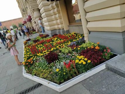 День цветов москва