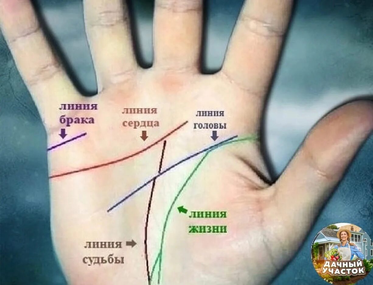 Проверить брачный. Линия брака на ладони. Линия любви на руке. Линия жизни на ладони. Линия замужества на ладони.