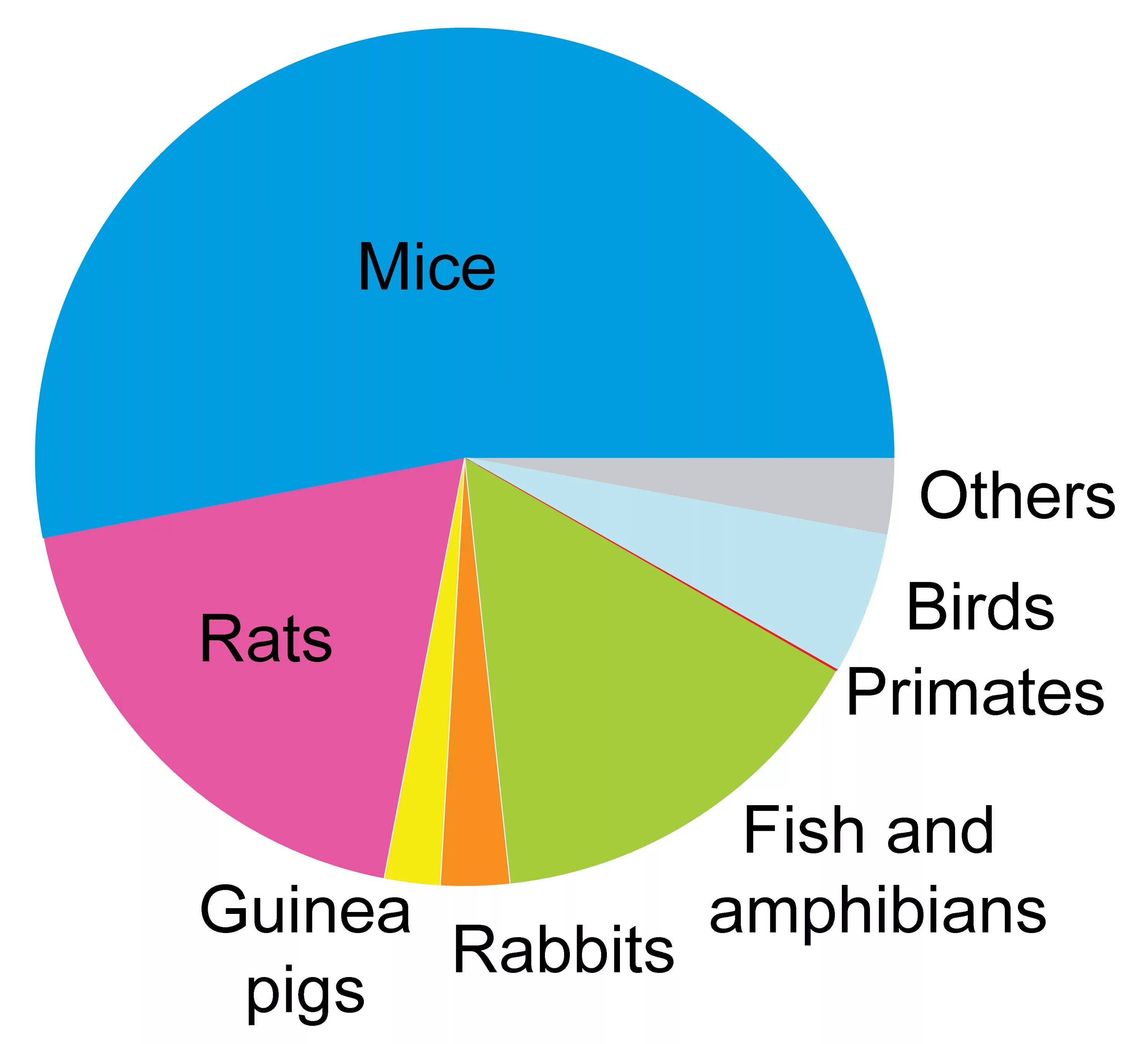 Chart testing. Experiments on animals statistics. animals pie chart.