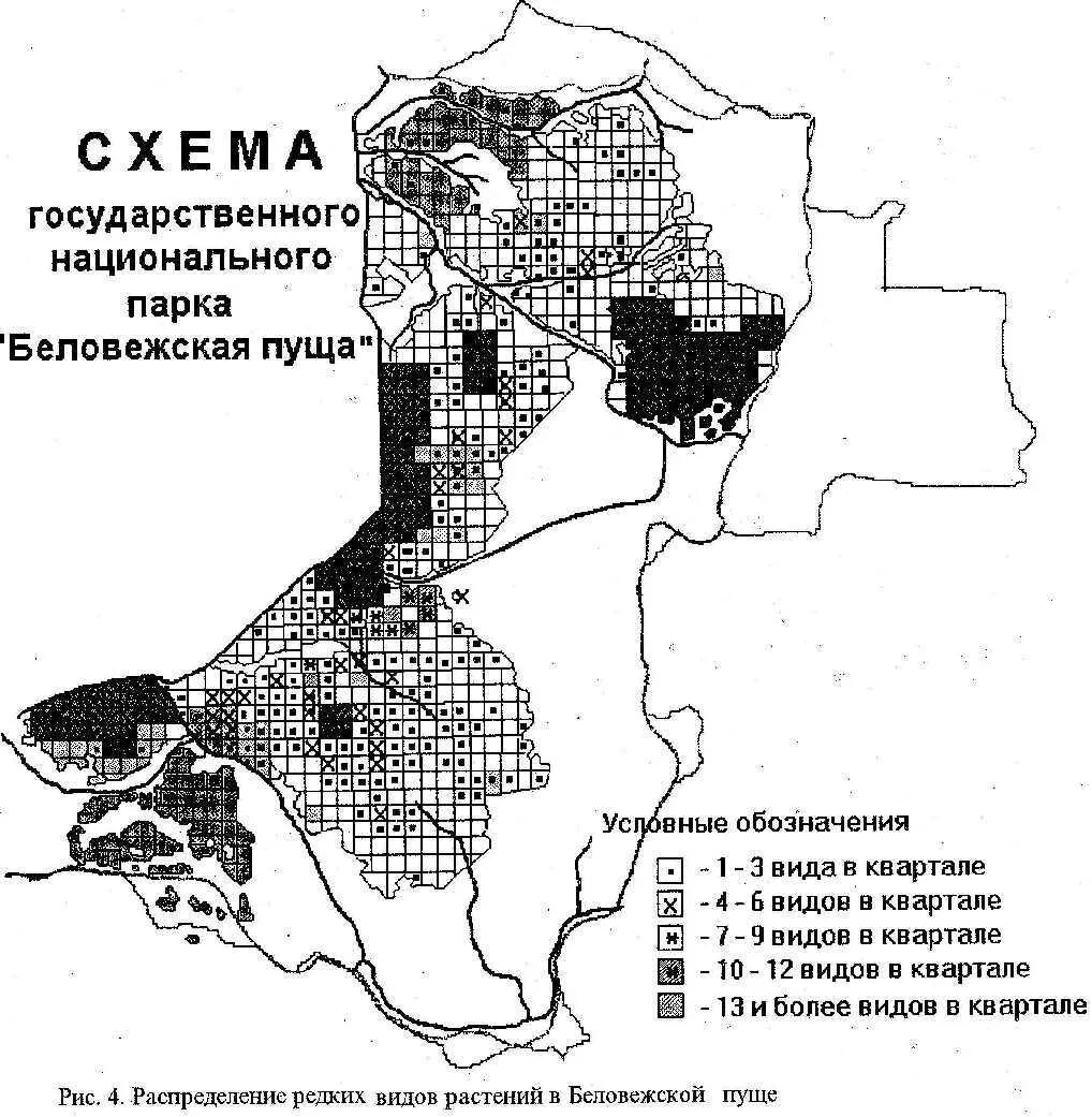Границы беловежской пущи. Беловежская пуща парк карта. Беловежская пуща на карте белоруссии. Беловежская пуща заповедник на карте белоруссии. Каменюки беловежская пуща.