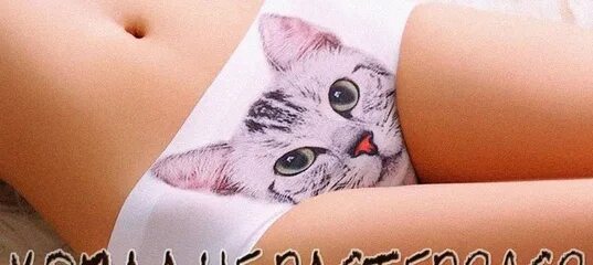 Девушка с котом на руках и голой киской между ног фото