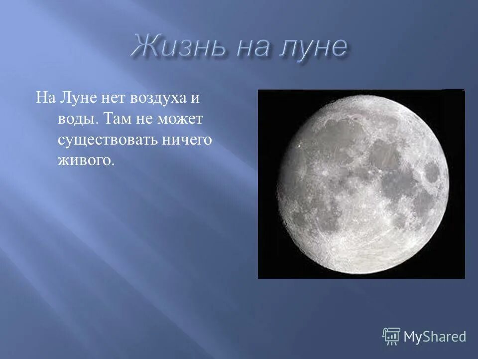 Почему на луне не живут люди 1