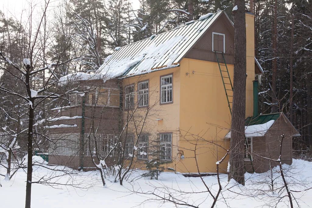 Поселок чуковский