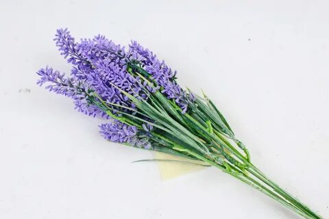 Купим лаванда цвет
