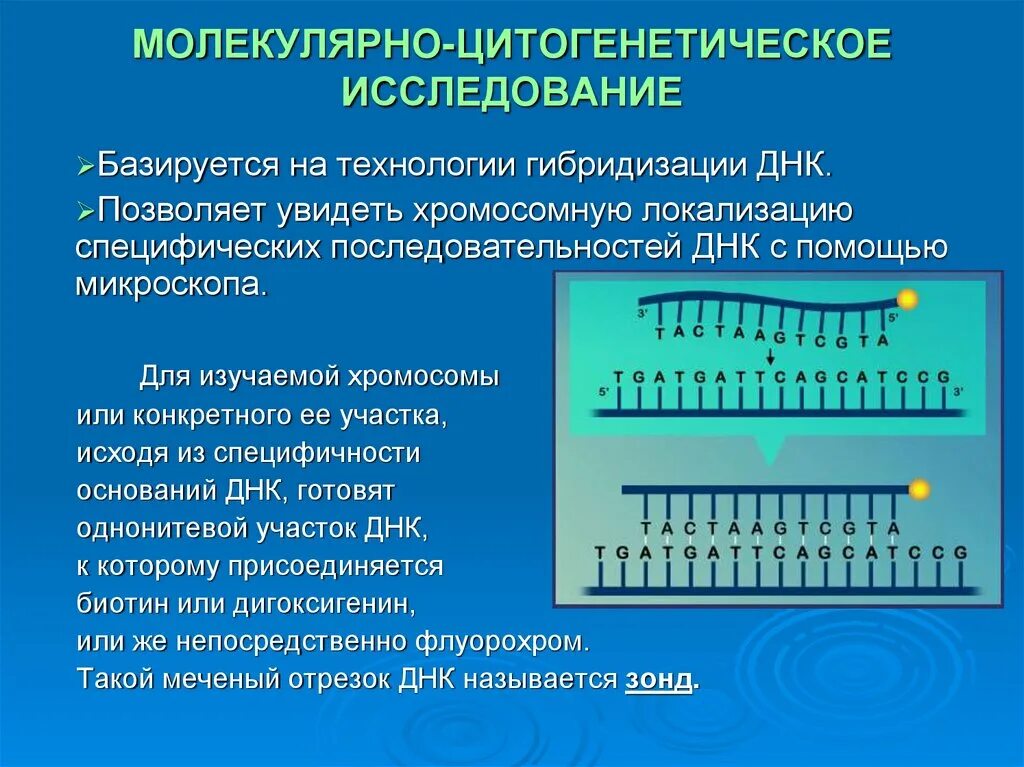 Молекулярно-генетические методы исследования. Молекулярно-генетические методы исследования ДНК. Молекулярные методы изучения наследственности. Молекулярно-генетические методы исследования в медицине. Цитогенетический метод наследственные заболевания