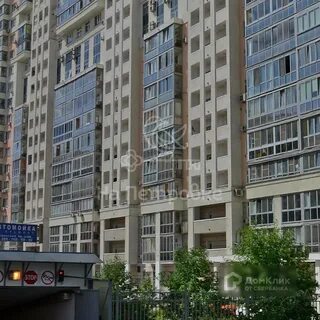 Березовая роща 10 москва