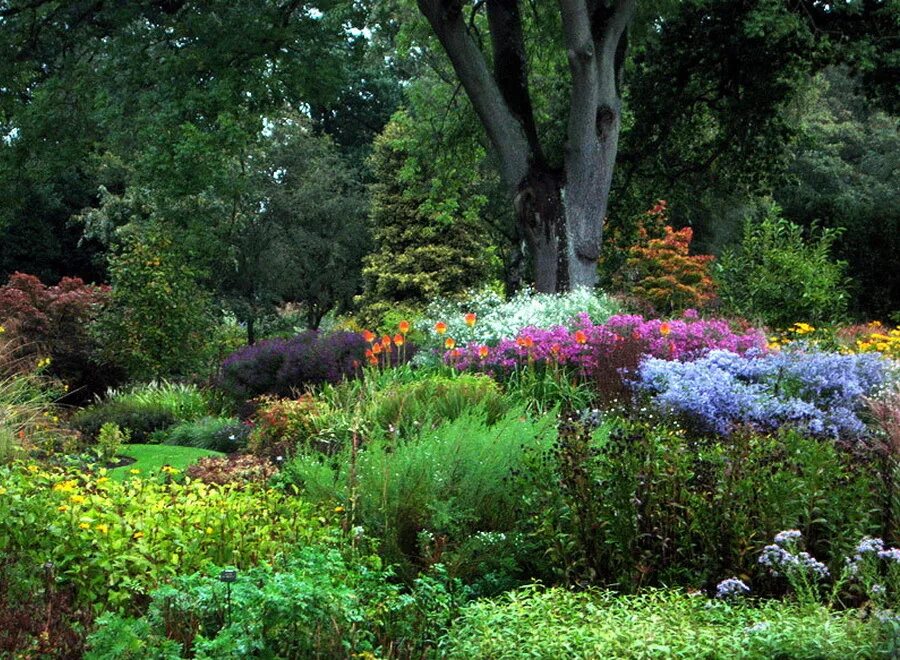 Дикий сад фото The Thoughtful Gardener купить в интернет-магазине по низкой цене на Яндекс Ма