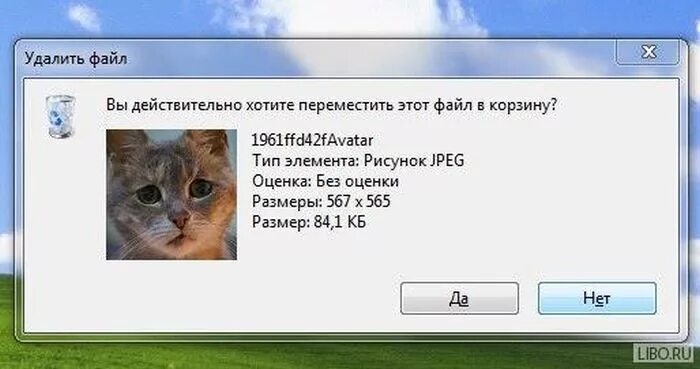 Удали сама. Вы действительно хотите удалить этот файл. Смешные файлы. Удаление файлов картинка. Картинка стереть файл.