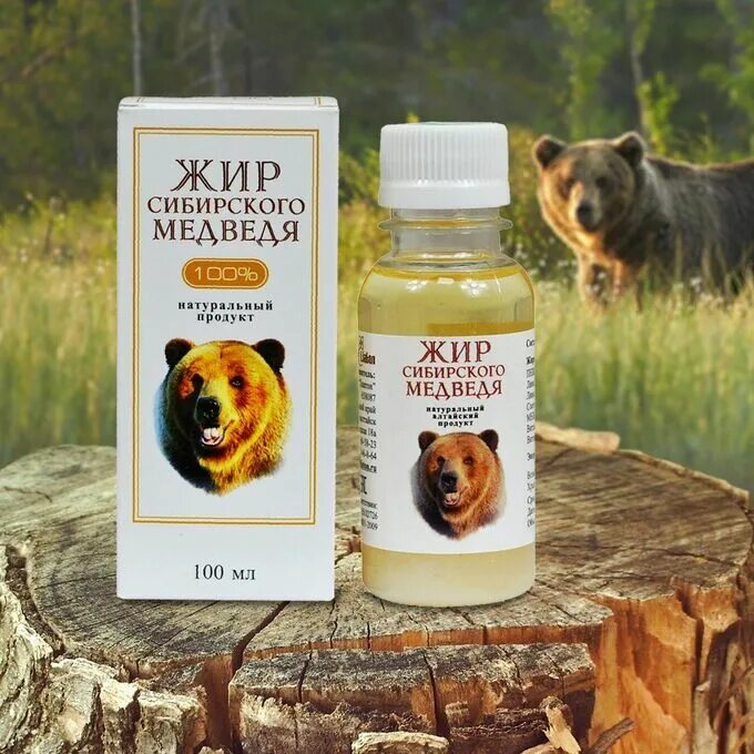 Чем полезен медвежий жир. Медвежий жир полезности. Медвежий жир польза и вред. Медвежий жир. Медвежий жир польза и вред.