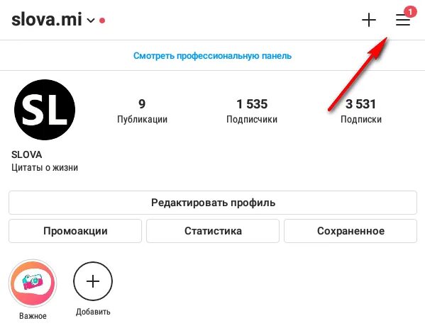 Как отключить статус в сети. Сетевой статус в инстаграме как работает. Статус активности в Инстаграм.