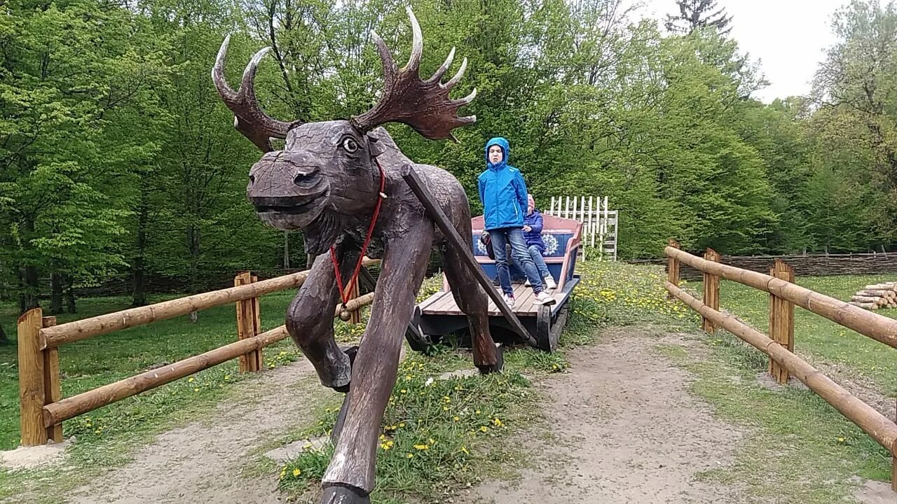 Беловежская пуща национальный парк. Белоруссия природа беловежская пуща. Беловежская пуща от бреста. Белоруссия беловежская пуща зубр. Беловежская пуща национальный парк.