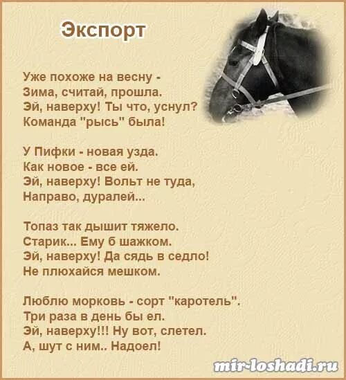 Стих про лошадь короткий. Стихи про лошадей. Стихи про коней лошадей. Стихи про лошадей. Стихи про коней лошадей.