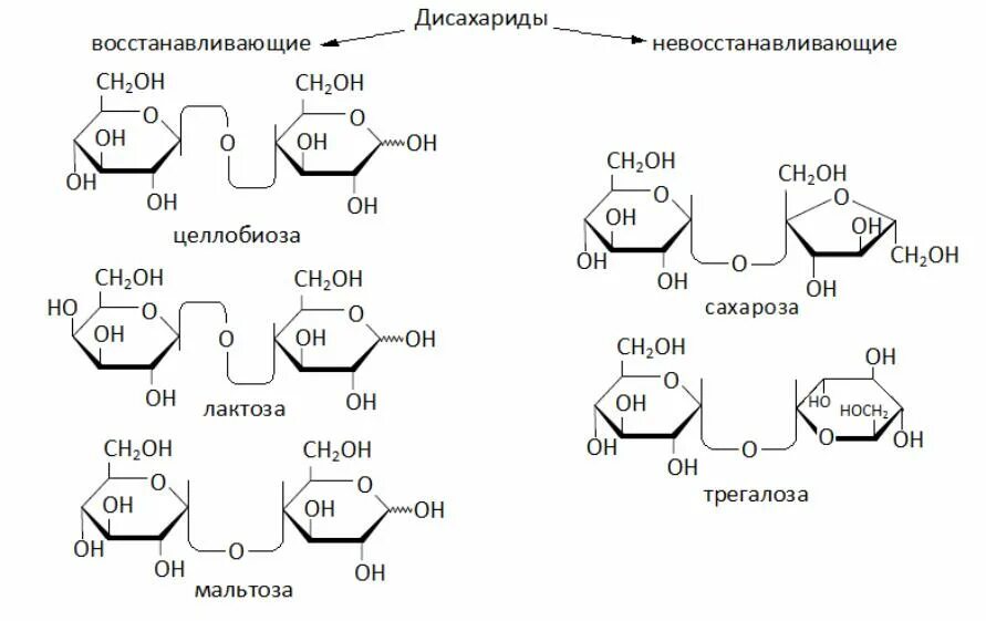 Восстанавливающие дисахариды мальтоза лактоза целлобиоза. Дисахариды: мальтоза, целлобиоза, лактоза, сахароза. Классификация дисахаридов восстанавливающие и невосстанавливающие. Восстанавливающие и невосстанавливающие дисахариды примеры.