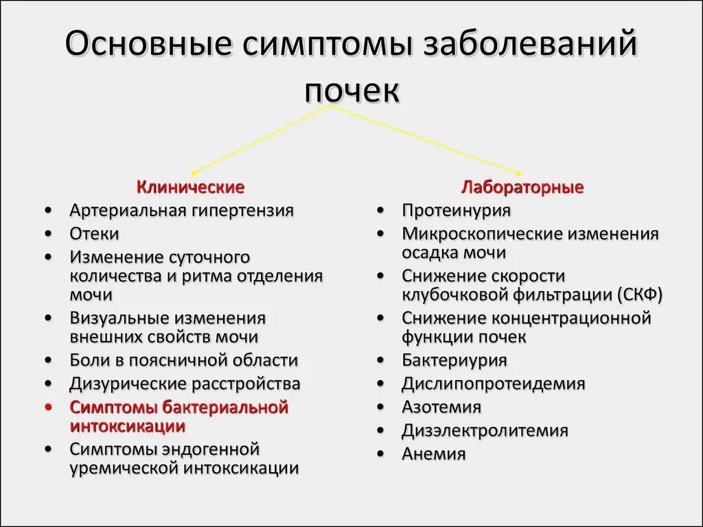 Как болят почки симптомы у мужчин