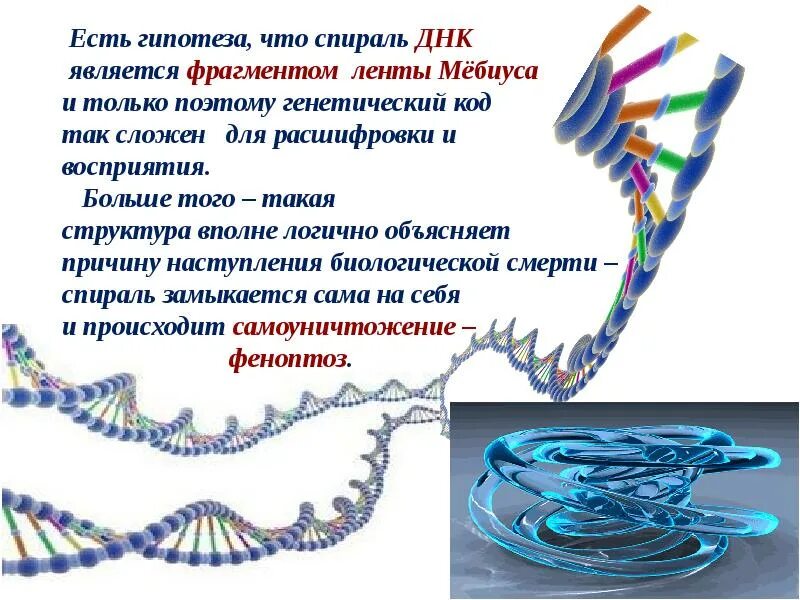 Что такое генетическая информация и какое. Генетическая информация удвоение днк. генетическая информация 10 класс. генетическая информация удвоение днк 10 класс. наследственная информация.