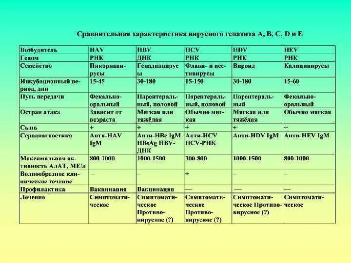 Хронический гепатит тесты с ответами