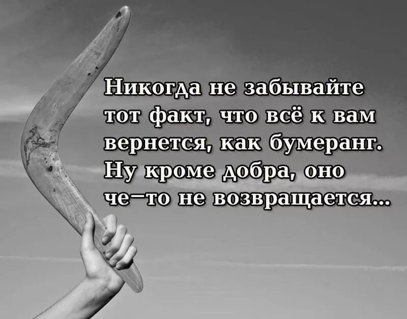 Забыл что хотел сделать. Добро возвращается бумерангом цитаты. Картина Бумеранг возвращается. Афоризмы про Бумеранг. Статус про Бумеранг со смыслом.