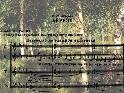 Birch перевод