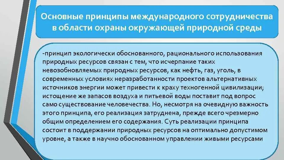 Основные принципы международного сотрудничества. Принципы международного сотрудничества в области охраны окружающей. Международное сотрудничество в области охраны окружающей среды. Международные принципы охраны окружающей среды.