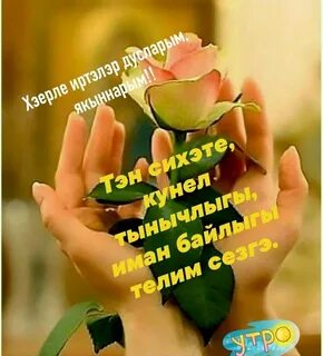 Сина дустым