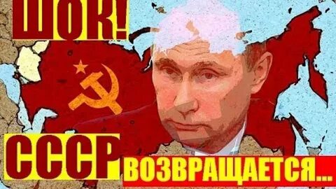Вернусь в 2024 году